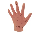 Акупунктурная модель рука