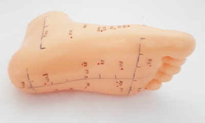 Акупунктурная модель Стопа подошва