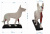 Акупунктурная модель Собака размеры