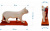 акупунктурная модель кошка размеры