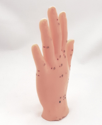 Акупунктурная модель рука.ь поворот
